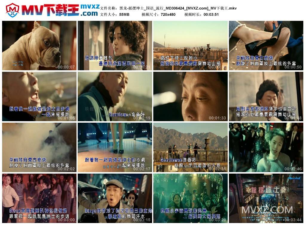 黑龙-摇摆绅士_国语_流行_MD306424